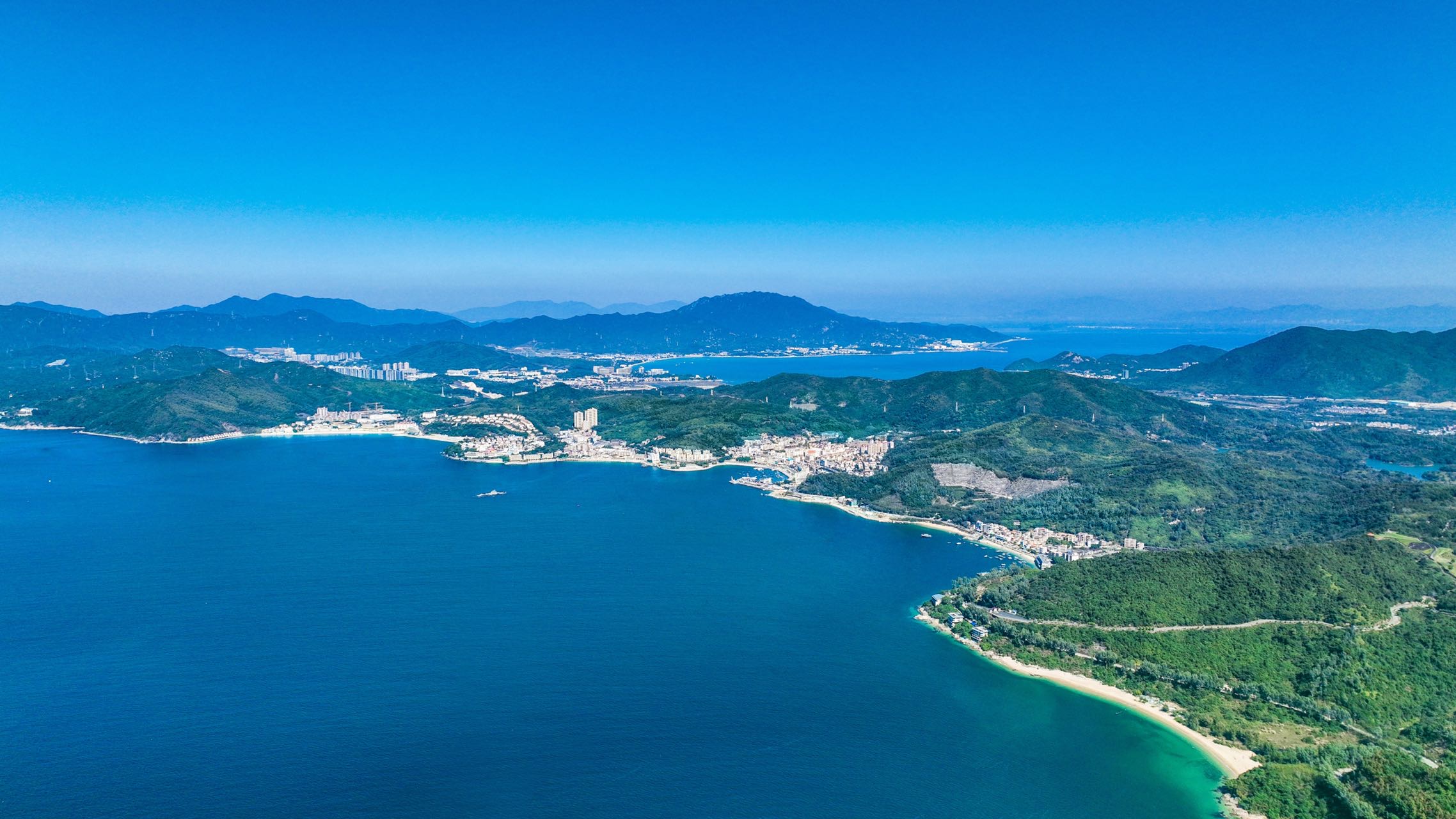 調查顯示 深圳大鵬半島蘊藏著諸多神奇物種