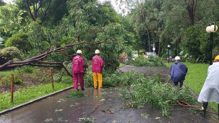 深圳全市公園逐步有序恢復(fù)遊園