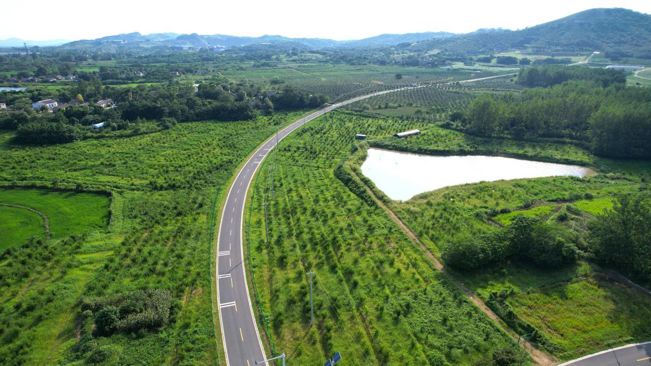 安徽巢湖：「高顏值」農(nóng)村路勾勒鄉(xiāng)村振興美麗畫(huà)卷