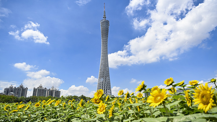 向「新」提「質(zhì)」贏未來！廣東加速發(fā)展新質(zhì)生產(chǎn)力