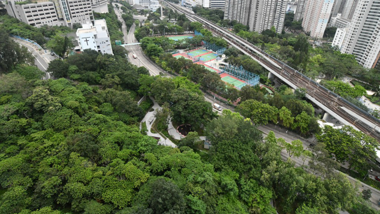 地價標(biāo)金未達(dá)政府底價 柴灣私人參建「樂建居」項目流標(biāo)