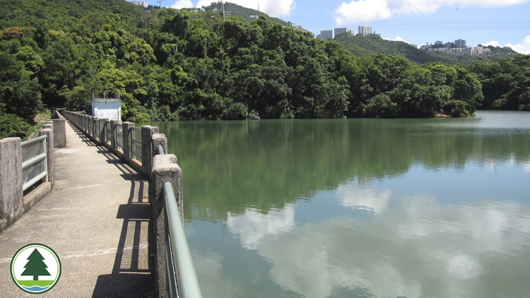 漁護署籲市民避免在颱風期間前往郊野公園